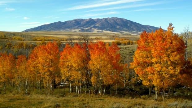 Fall Leaves in Carbon County_credit Carbon County Visitors' Council
